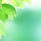 プライバシーポリシー